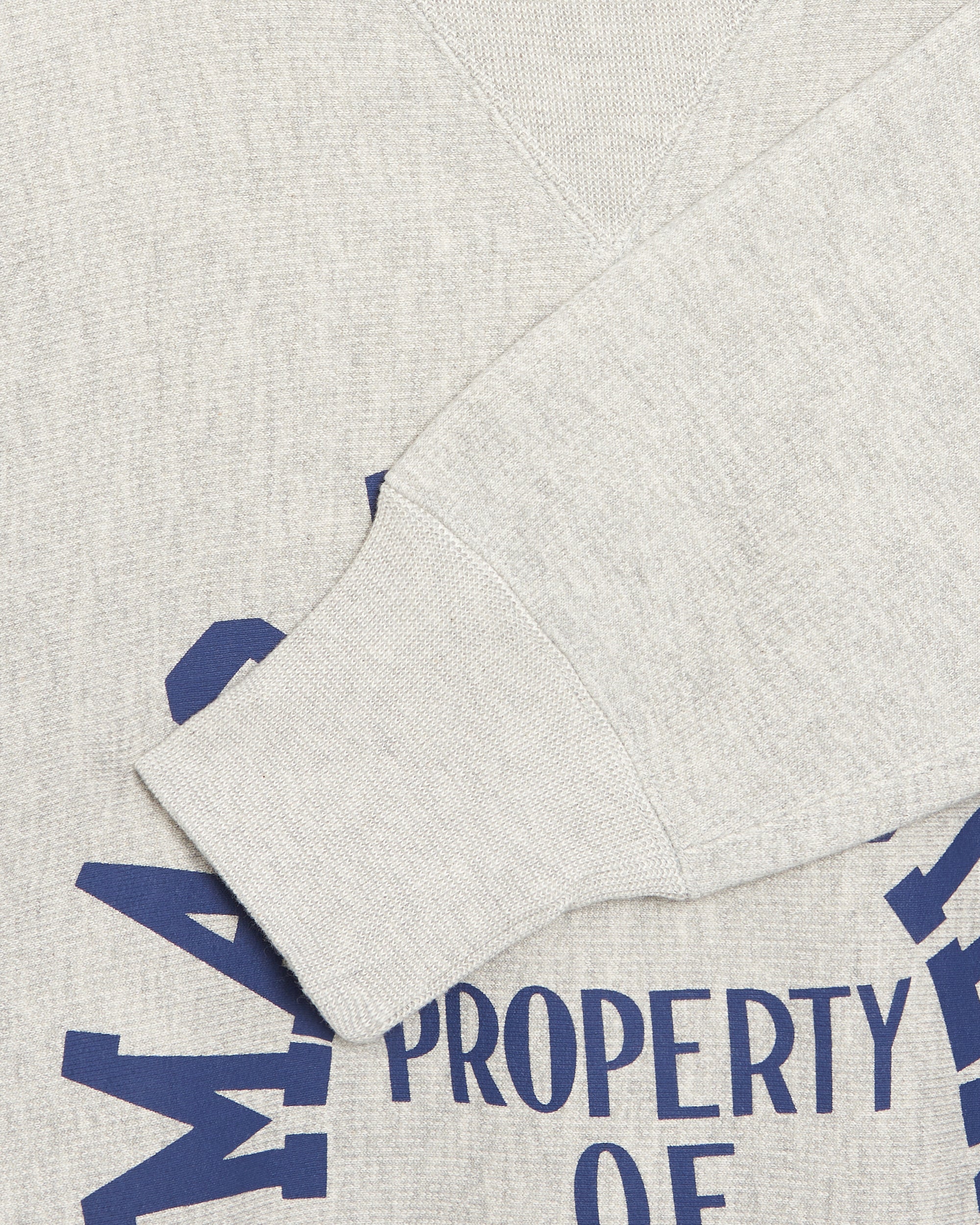 Sweatshirts Champion Macalester Men's Sweatshirt Men's Sweatshirt - C3U037-CHA-X040