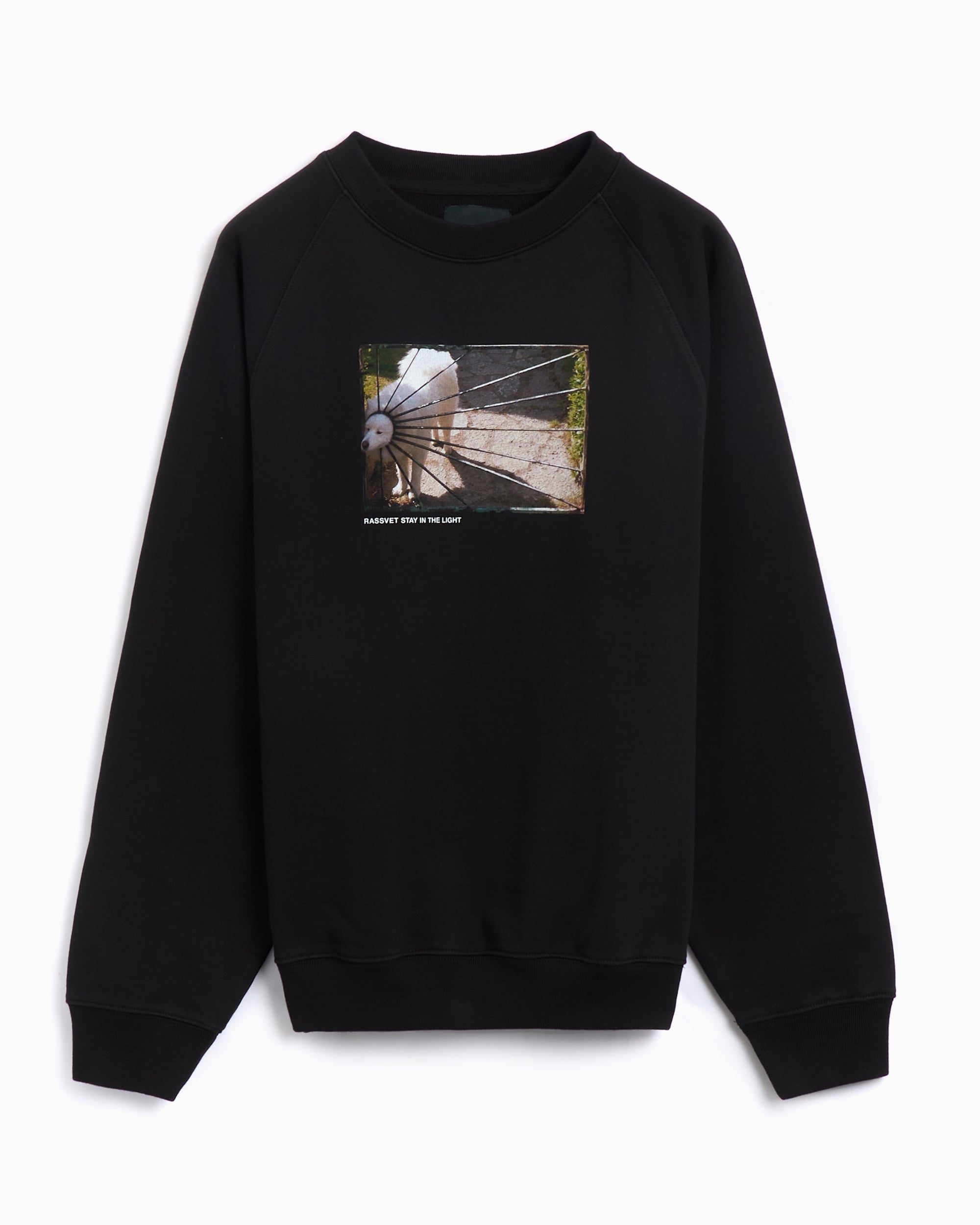 Rassvet Dog Logo Men's Knit Sweatshirt Men's Sweatshirt