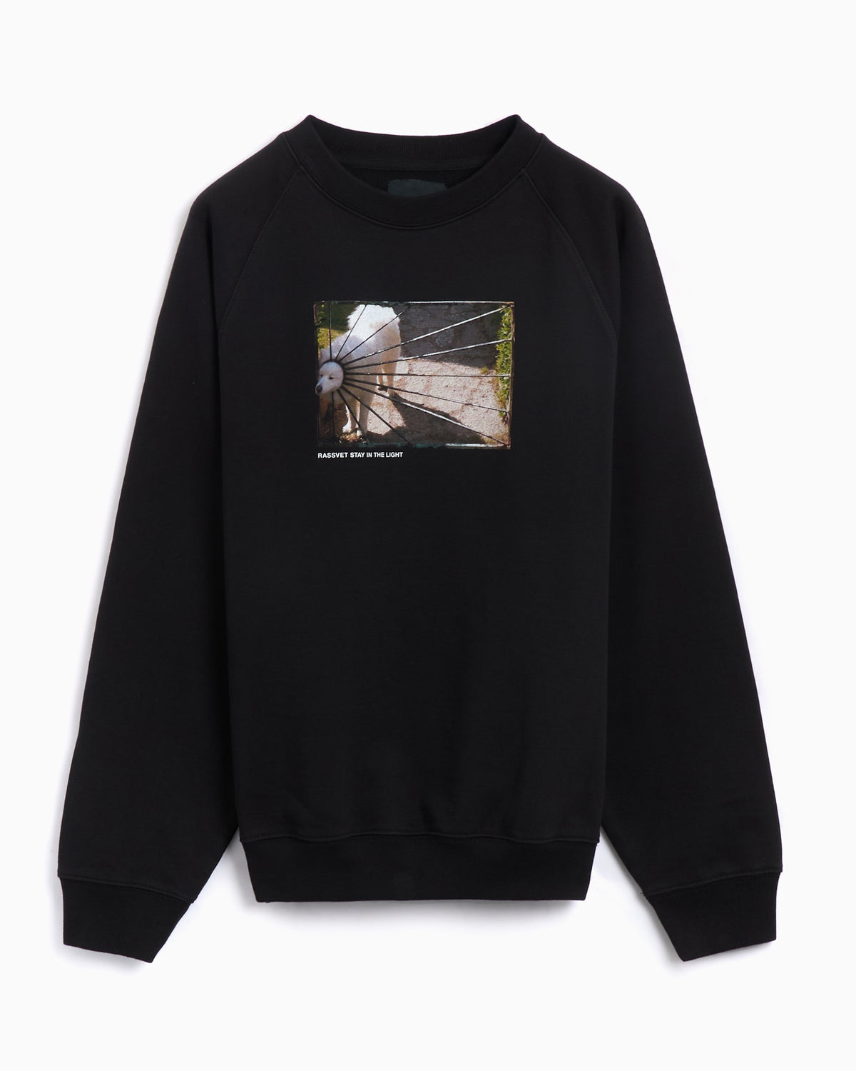Rassvet Dog Logo Men