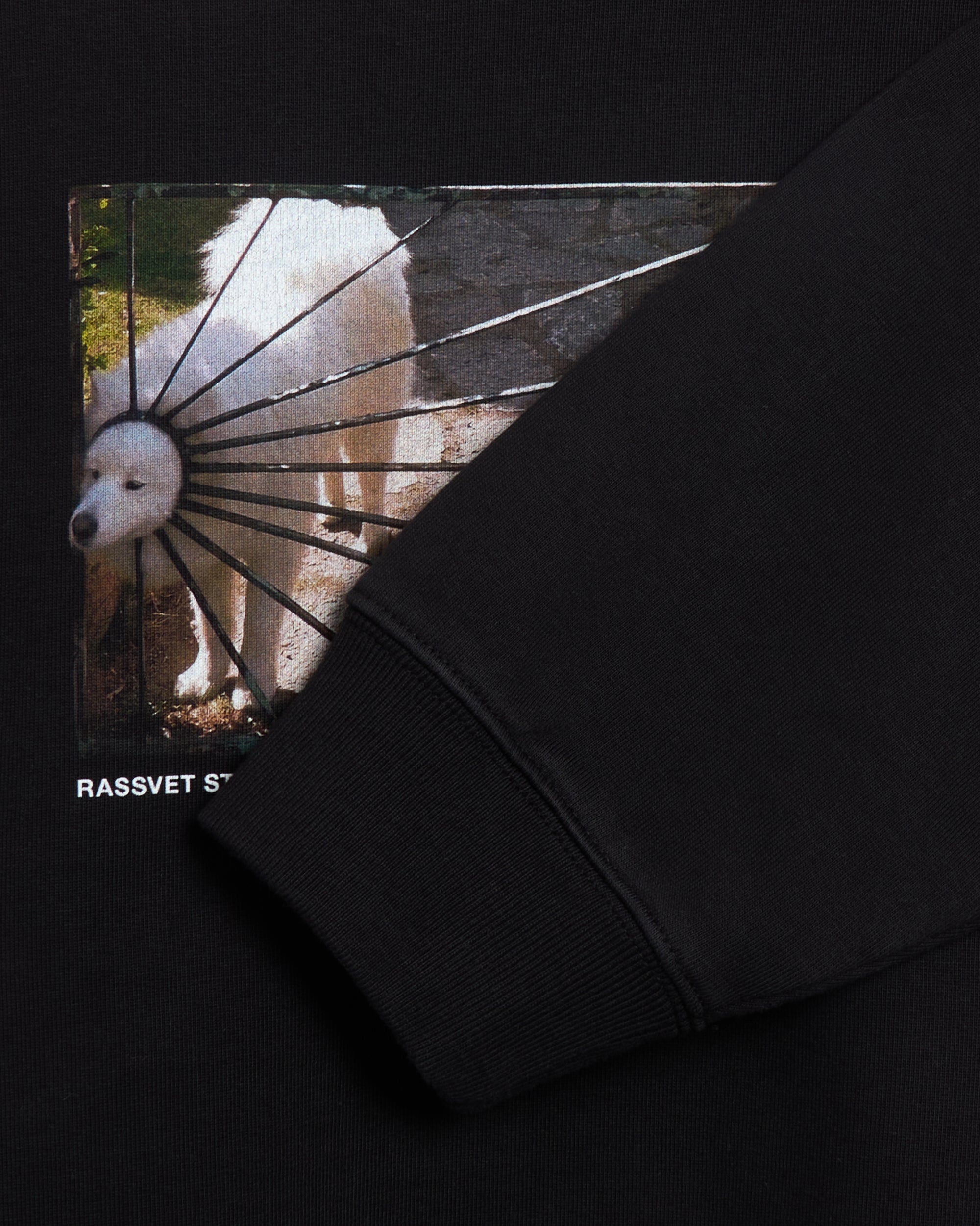 Rassvet Dog Logo Men's Knit Sweatshirt Men's Sweatshirt