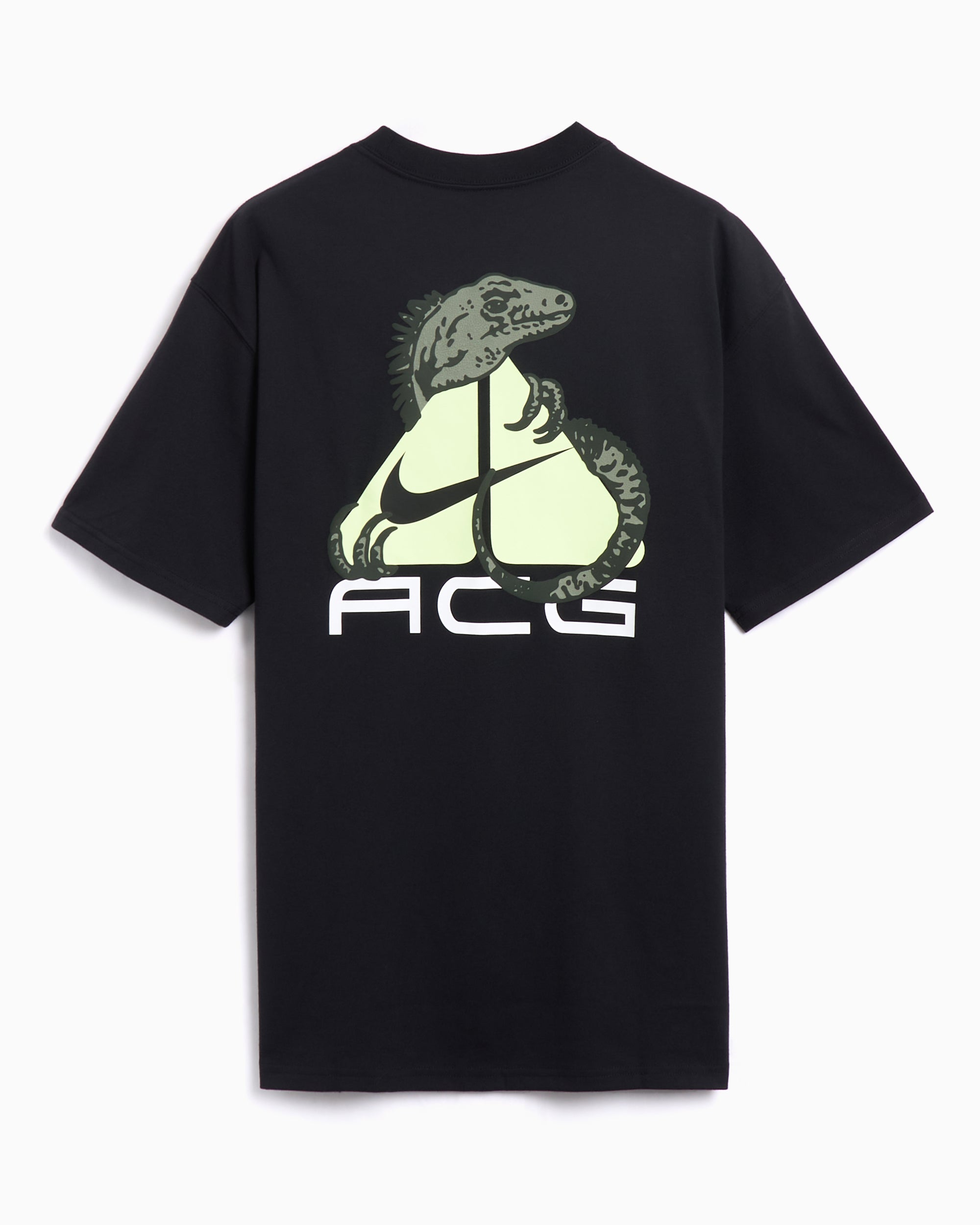 Nike ACG DF Iguana Men's T-Shirt Men's T-Shirt