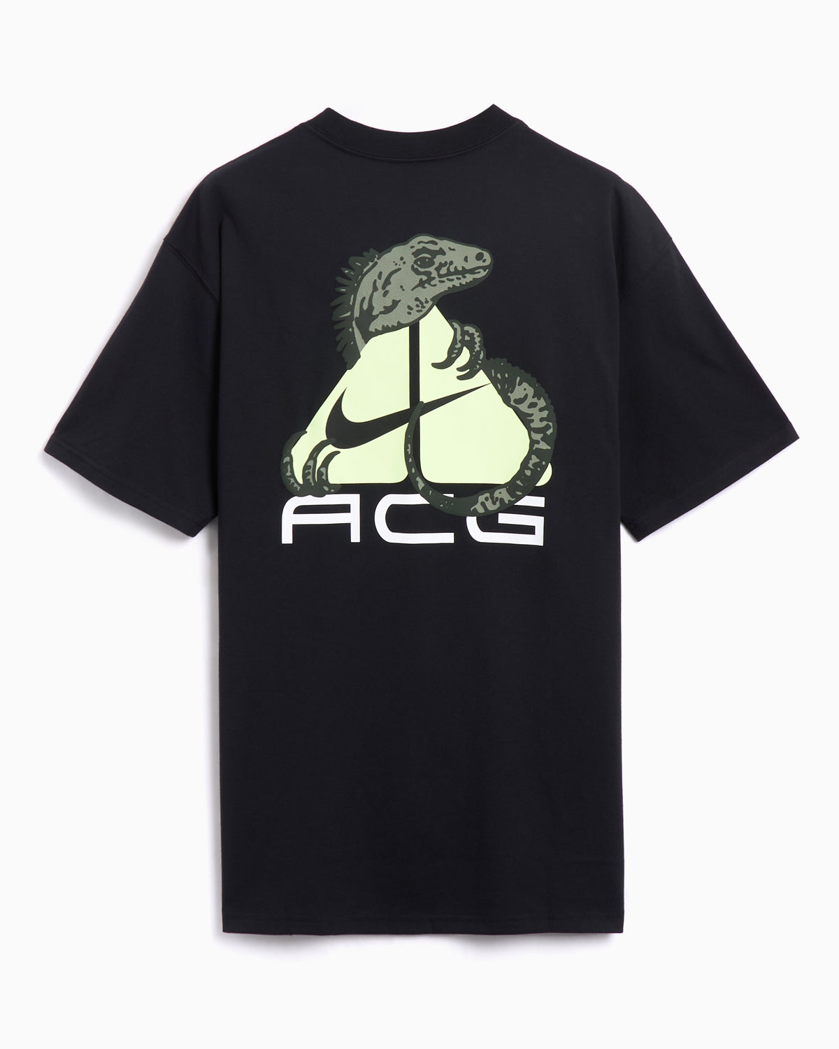 t-shirts-nike-acg-df-iguana- 
