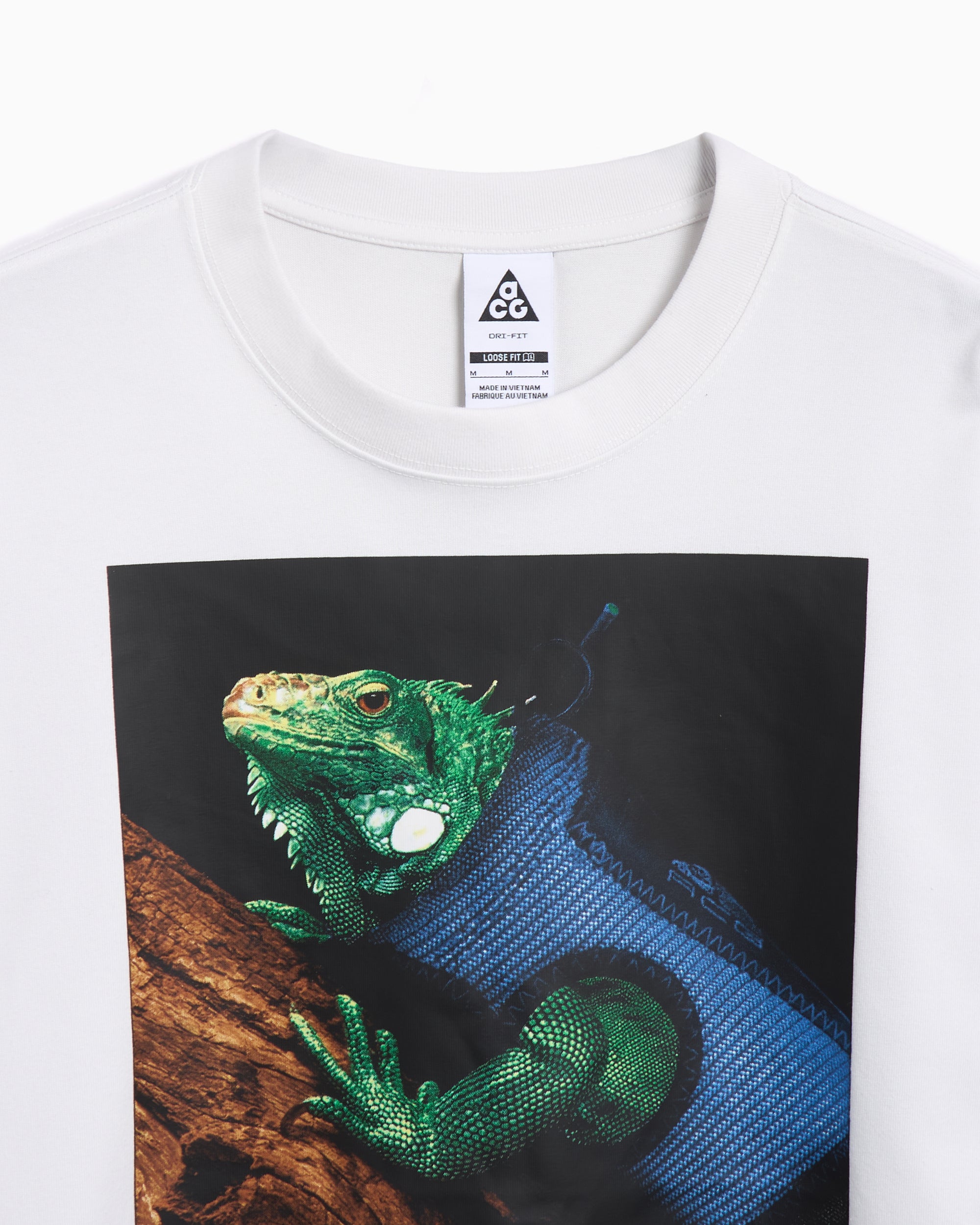 Nike ACG DF Iguana Men's T-Shirt Men's T-Shirt