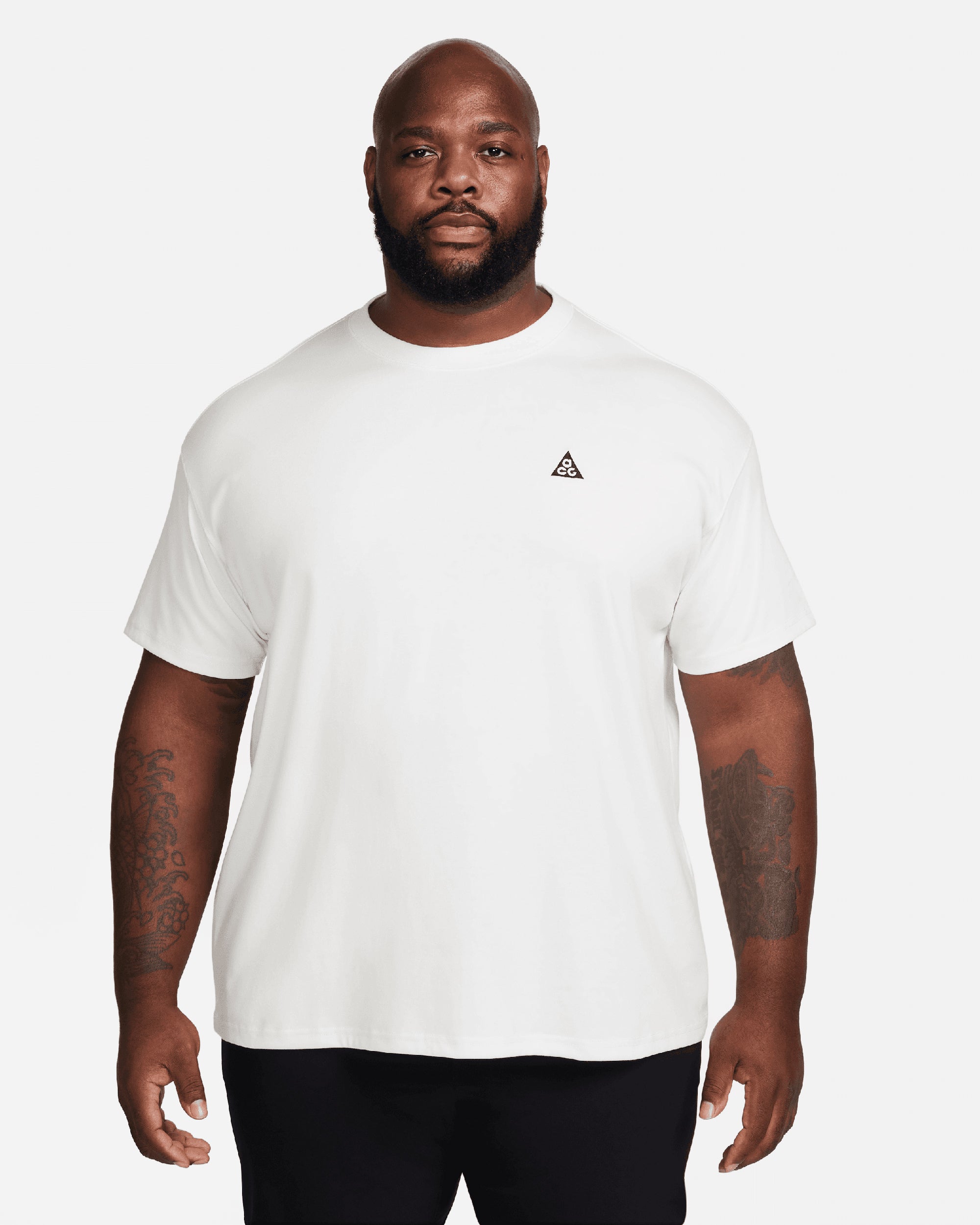 ナイキ 相撲Tシャツ Nike ACG Men's T-Shirt Men's T-Shirt