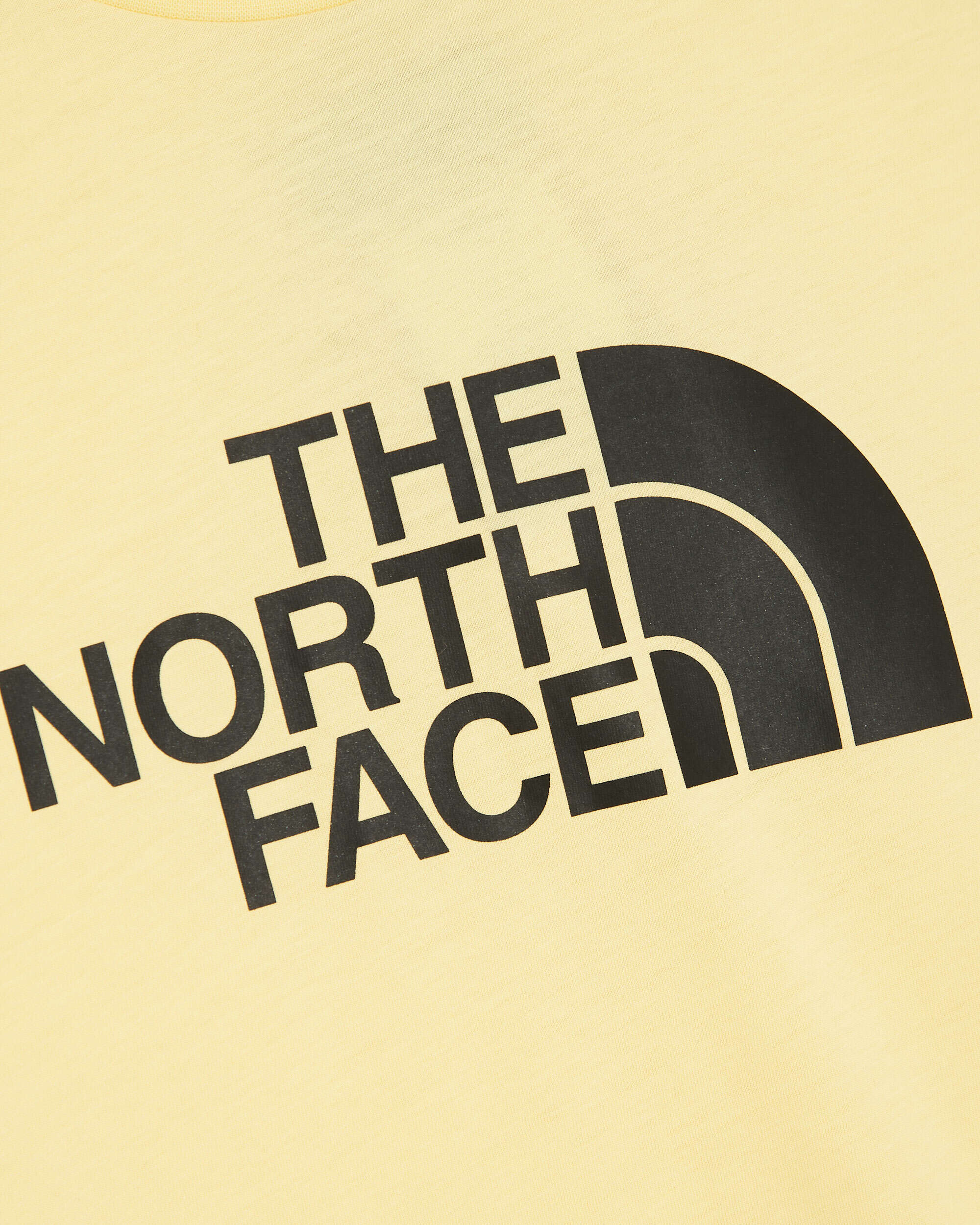 T-Shirts The North Face Easy Logo Women's T-Shirt - NF0A4T1Q3R41