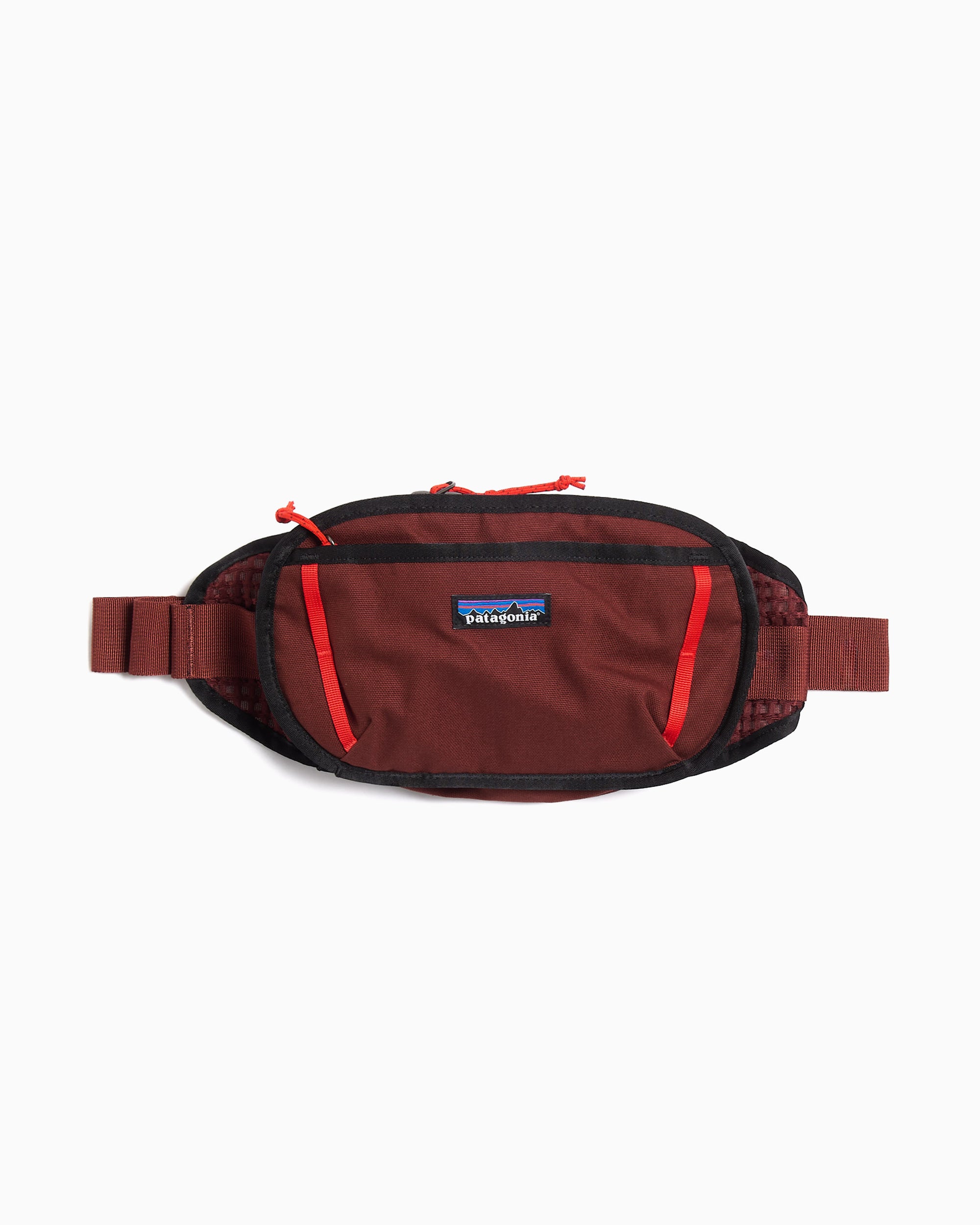 Waist bags Patagonia Fieldsmith 5L Unisex Waist Bag - 48580-DVL