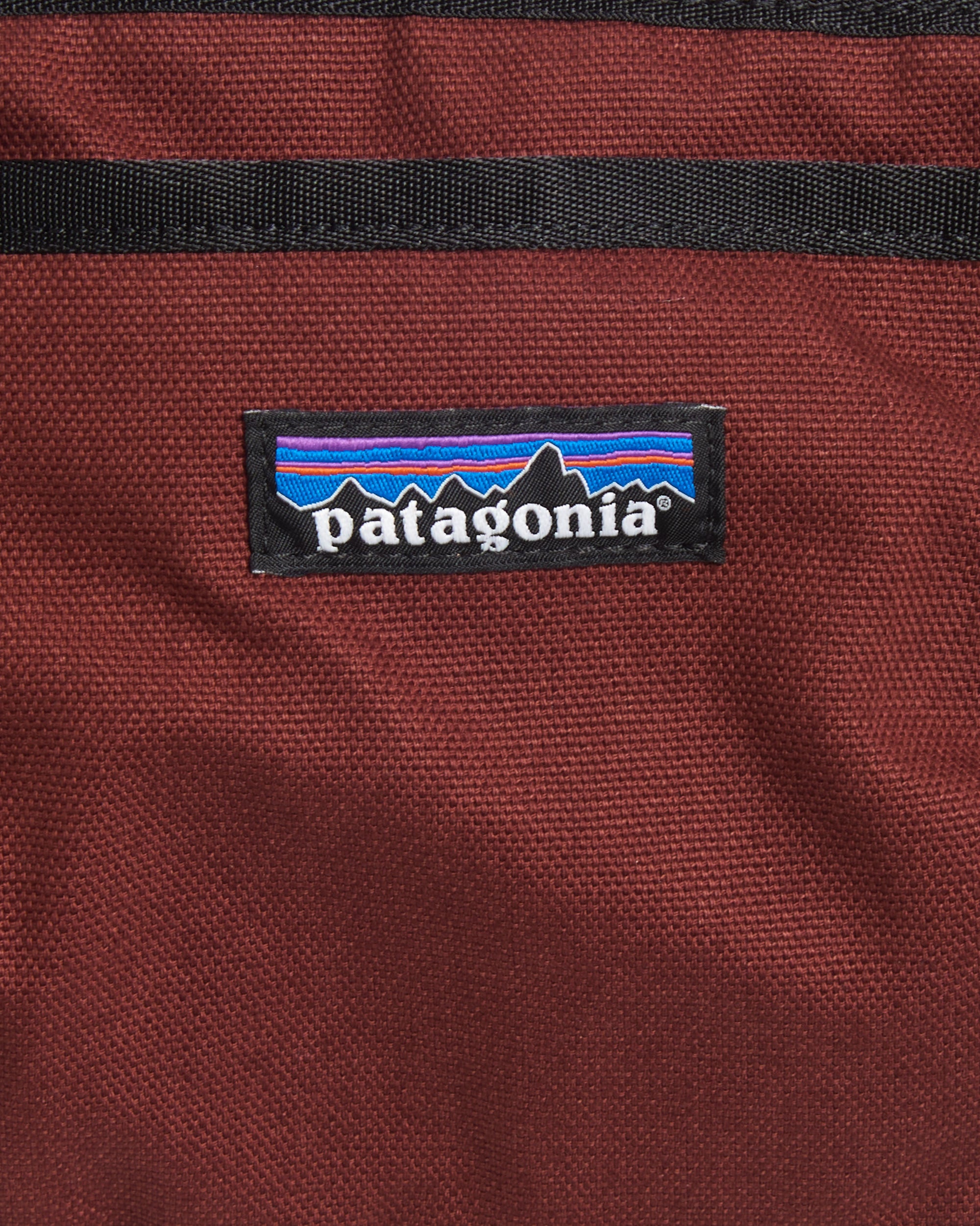 Waist bags Patagonia Fieldsmith 5L Unisex Waist Bag - 48580-DVL