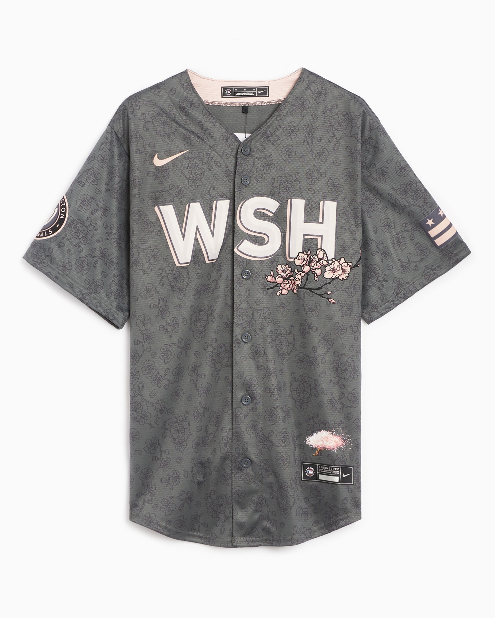 Nike City Connect Wordmark (MLB Washington Nationals) Men's T-Shirt